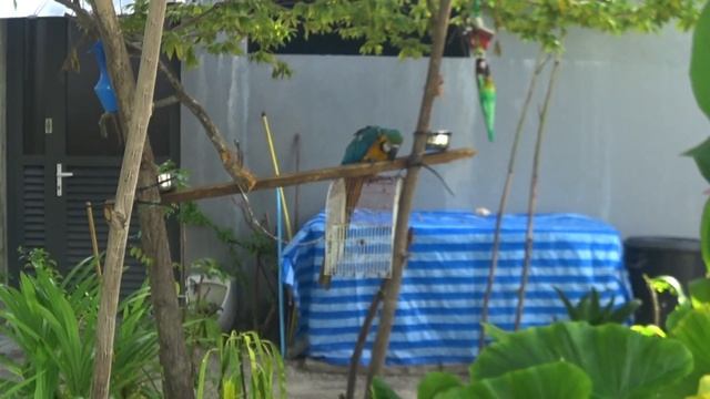 Ритмы Земли