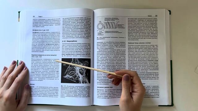 АСМР Читаю учебник по биологии ч.4 / Про лизосомы / Ты точно уснешь! / Шепот // ASMR in russian смотреть онлайн