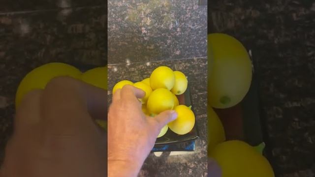 Лимонное дерево дома, урожай 28 лимонов / Limon tree ??/USA/?? смотреть онлайн