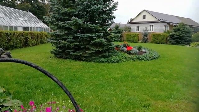 Сегодня праздник! Сегодня... школа! смотреть онлайн