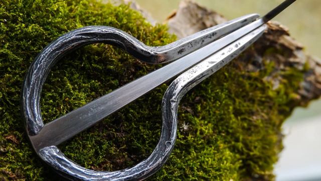 #варган Древо смотреть онлайн