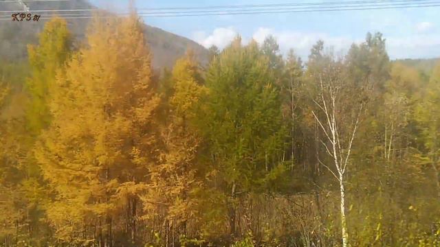 073 БАМ 2020. Часть №16. Едем вдоль рек Хани и Олёкма. смотреть онлайн
