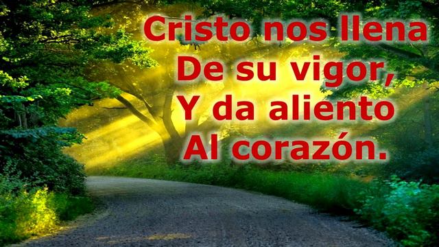 #323 - En Jesucrito el Rey de Paz - Himnario Bautista - Blessed Assurance смотреть онлайн