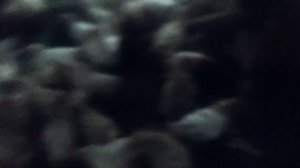 Мини ферма курей несушек Декалб Уайт. 100 курей. Бизнес на курах несушках. Ферма дома. Куриный дохо