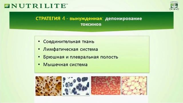 Как похудеть и не набрать снова.