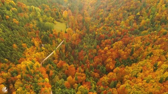 Autumn Scenery & Fall Foliage, Peaceful Soothing Piano Music, Relaxing Autumn Melodies