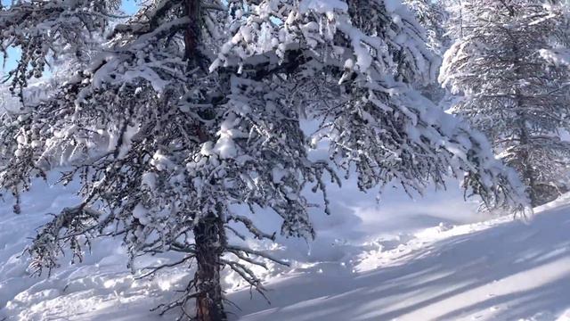 Жизнь Эвена-оленевода. День 2. смотреть онлайн