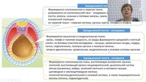 Биология. Индивидуальное развитие организмов. Биогенетический закон