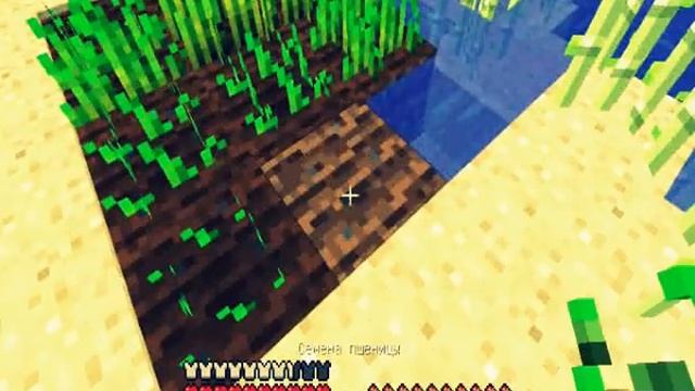 Minecraft #1 - Как накормить коров (КЭП) смотреть онлайн