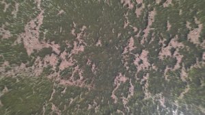 04.05.2022. Нерест сазана в низовье Волги. 4К.