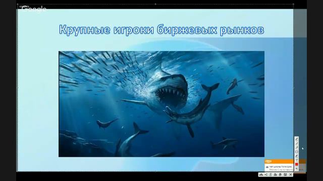Закономерности рынка Форекс смотреть онлайн