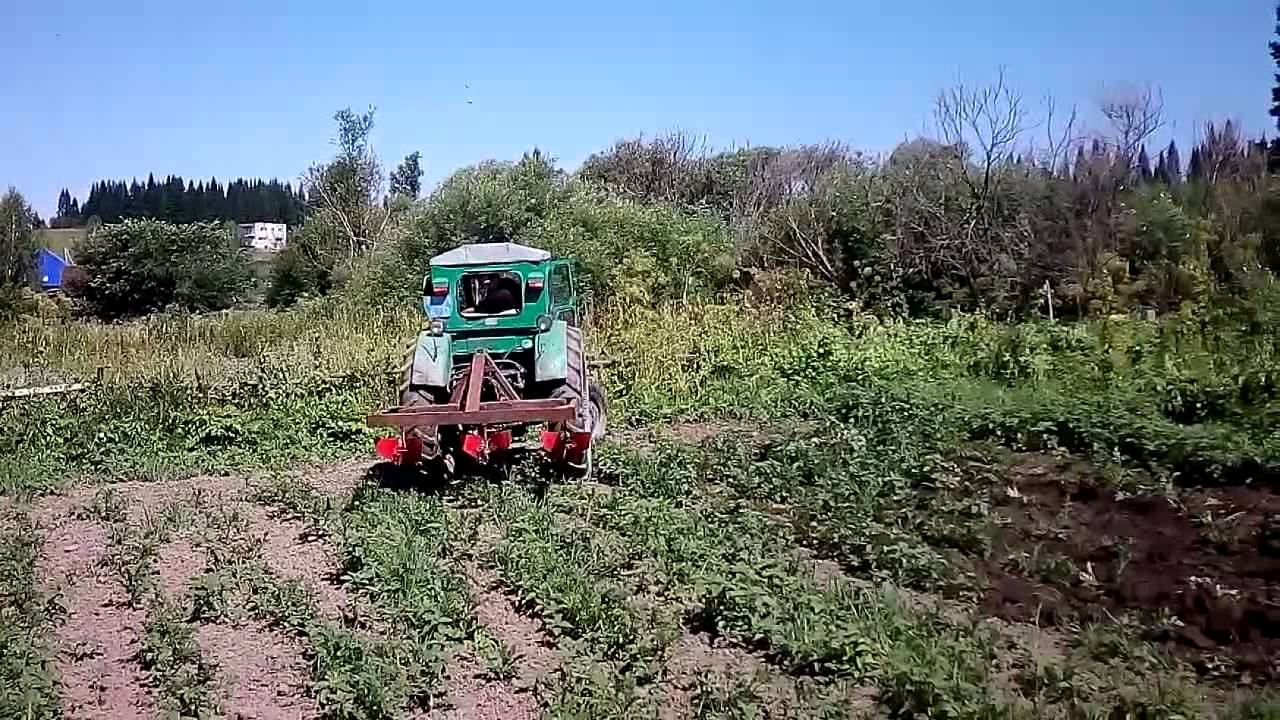 Т-40 окучивание картофеля смотреть онлайн