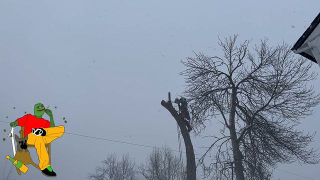 PERFECT WORLD смотреть онлайн