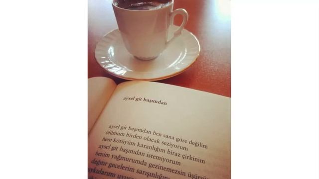 ATİLLA İLHAN AYSEL GİT BAŞIMDAN SENİ SEVİYORUM ŞİİRİ смотреть онлайн