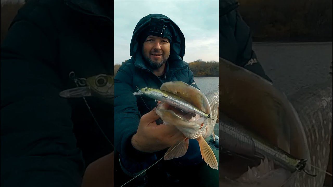 Шок от этой приманки! Щука в бешенстве! #shorts #рыбалка #воблер смотреть онлайн