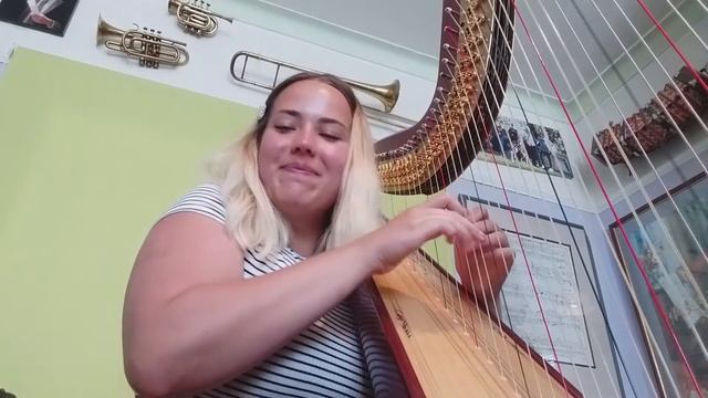 Excerpts from the Mozart Concerto for Flute and Harp смотреть онлайн