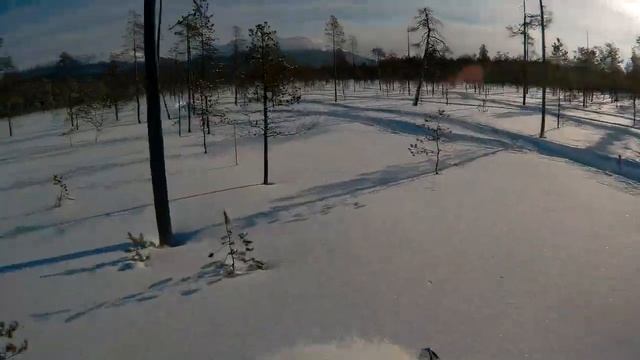 Мороз и солнце! смотреть онлайн