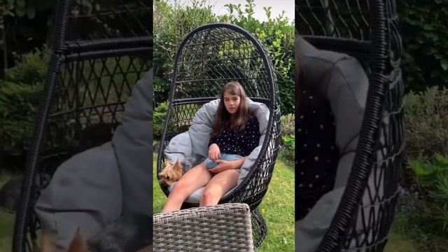 Правильный выбор! Кто молодец? смотреть онлайн