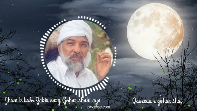 Jhom ke Bolo Zakir Saray Gohar Shahi Aya | Qaseeda e Gohar Shahi смотреть онлайн