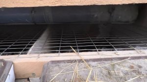 РАЗВЕДЕНИЕ КРОЛИКОВ НА СЧАСТЬЕ ЛИЧНЫЙ ОПЫТ ГДЕ НАЙТИ И ПОТЕРЯТЬ Кролики содержание и разведение