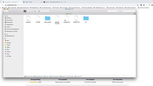 Coach Theme Installation | Gulp Build HTML смотреть онлайн