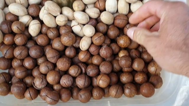 Что можно купить когда поедете в Домбай смотреть онлайн