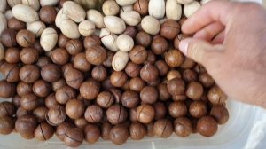 Что можно купить когда поедете в Домбай