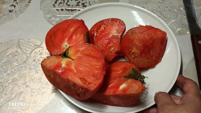 ?Томат Африканская лиана ?Шакшука с Африканской лианой?19.07.2022 год смотреть онлайн