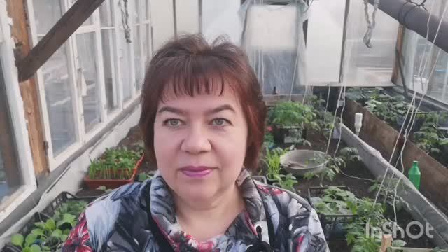 28.05.22 Влог-мой вкусный похудейский рацион-закупка продуктов-дела садовые. смотреть онлайн