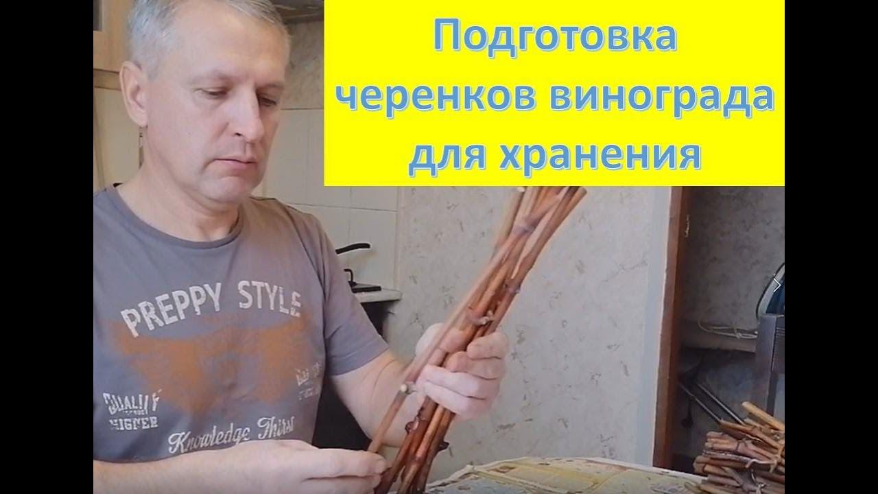 Как сохранить виноградные черенки до весны??? смотреть онлайн