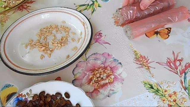 Сею арбузы, дыни, помидоры в улитку - Проще не бывает! смотреть онлайн