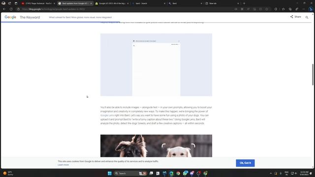 Finally, Google Bard AI in India ? How to use Bard Step-by-Step Tutorial? смотреть онлайн