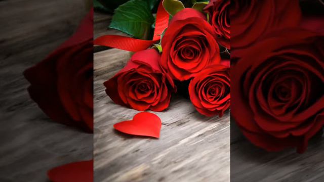 Raim & Adil - Роза