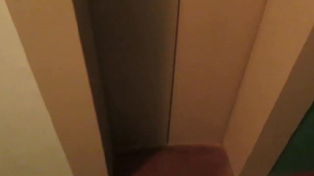 Музыкальный лифт ECOMAKS (2020 Г.В) Грузоподъемность 400 KG смотреть онлайн