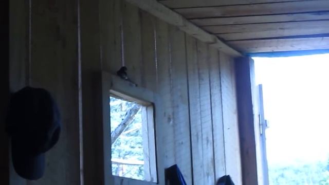 Ласточки строят гнездо смотреть онлайн