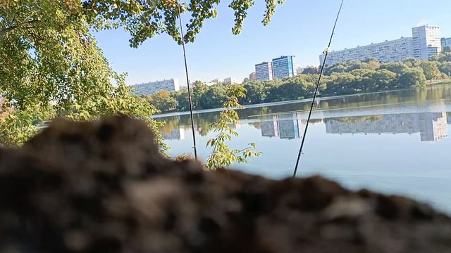 рабалка на фидер москва река