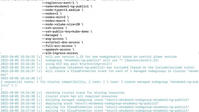 Creating AWS Devops Kubernetes Cluster and NodeGroups and deleting Cluster. #awsdevops #kubernetes смотреть онлайн