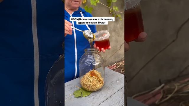 Сосуды чистые как стеклышко смотреть онлайн