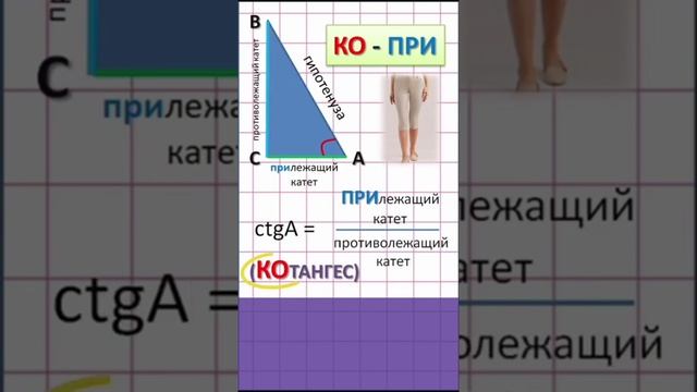 Лёгкий способ запомнить, что такое синус, косинус, тангенс, котангенс смотреть онлайн