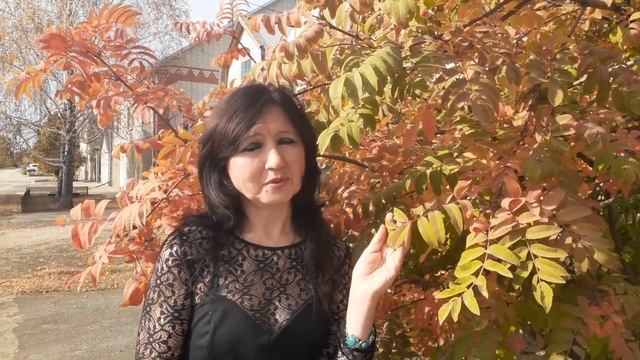 Виртуальный поэтический этюд «Закружилась листва золотая…» смотреть онлайн