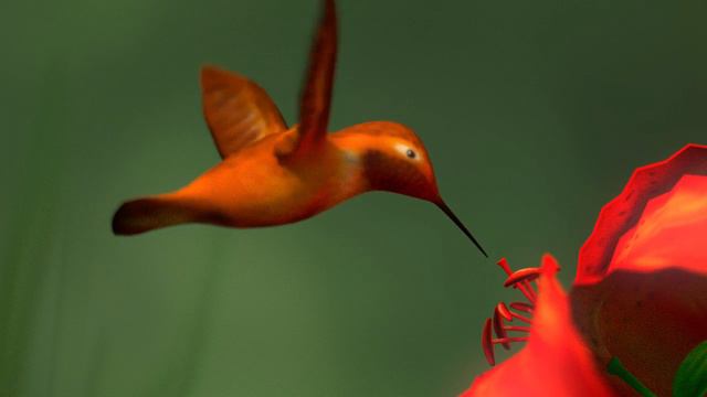 Lost shoes смотреть онлайн