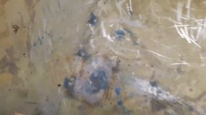 Лодка Сарепта на что обращать внимание при покупке часть 1