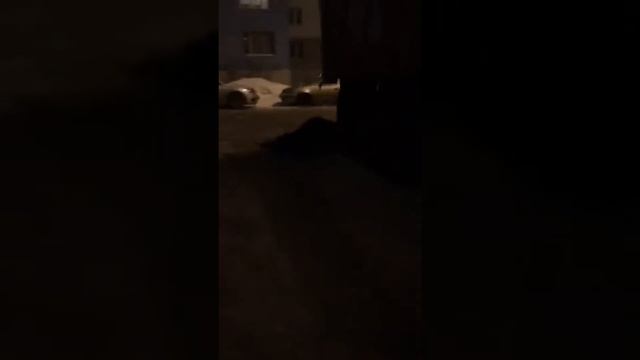 Капитальный ремонт г Самара Московское шоссе д 83 целый день с одной машины выгружали асфальт смотреть онлайн