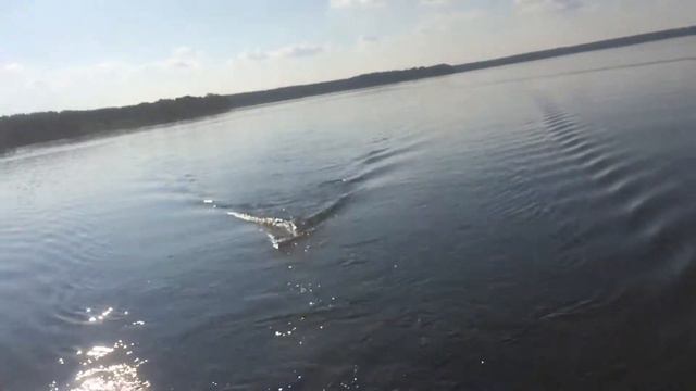 Щука на дорожку озеро Отрадное смотреть онлайн