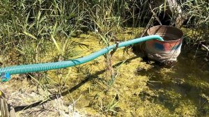 Капельный полив мотопомпой из водоема