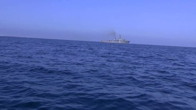 Крым. В Севастополе косяки крупной ставриды смотреть онлайн