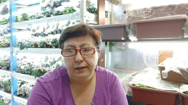 Как сделать заказ на фиалочки.Ссылка на мой сайт http://fialki24.ru смотреть онлайн