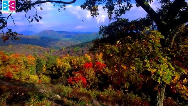 Breathtaking Pan Flute Track смотреть онлайн