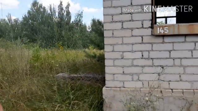 Заброшенные домики в Стрелице смотреть онлайн