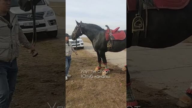 Абама смотреть онлайн